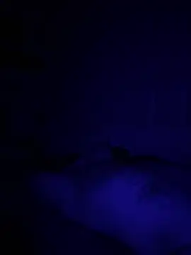 Diversified Reality online show from 9, 4, 2026