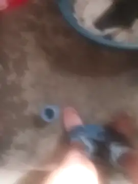 bhereee online show from 30, 3, 2026