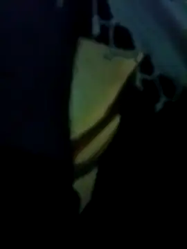 yourdreamman007  online show from 31, 3, 2026