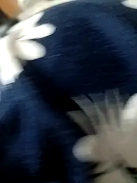 miss jasmine  online show from 3, 4, 2026