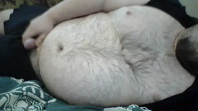 Snapshot of TBFL0204 chatting on 9, 7, 2026 TBFL0204 online show from 9, 7, 2026