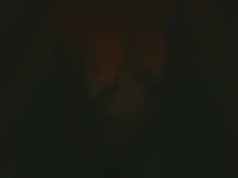 rodrigoxxp online show from 18, 7, 2026