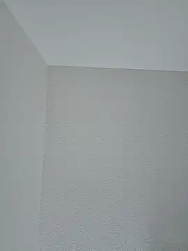 mastadon12345 online show from 2, 4, 2026