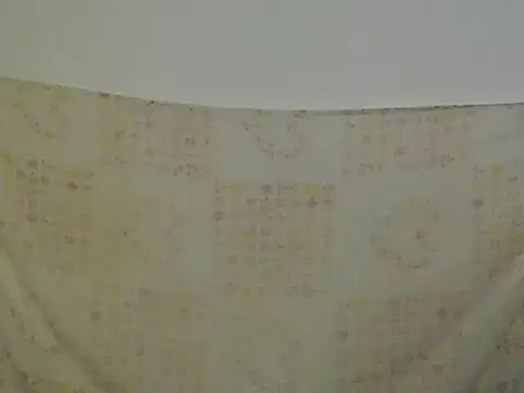 Daniellesafada online show from 17, 4, 2026