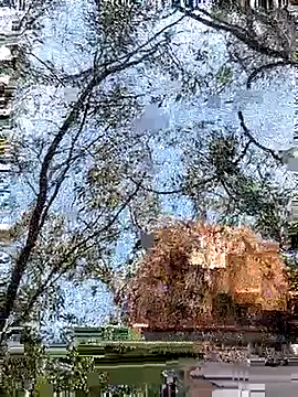 Julialexxxx online show from 7, 4, 2026