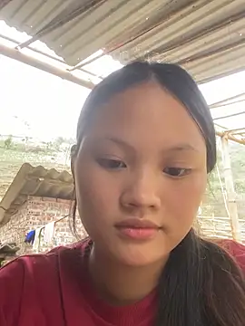   Sunflower   online show from 20, 4, 2026