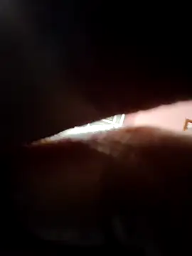 Snapshot of doggy69-dog chatting on 5, 4, 2026 doggy69-dog online show from 5, 4, 2026