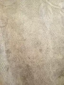 66luis3 online show from 21, 4, 2026