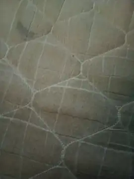 66luis3 online show from 20, 4, 2026