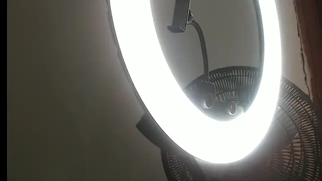 CONNOR 42 online show from 9, 4, 2026