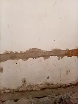 Nkazimulz online show from 9, 4, 2026