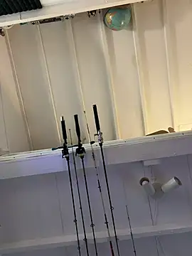 Vexer30 online show from 27, 4, 2026