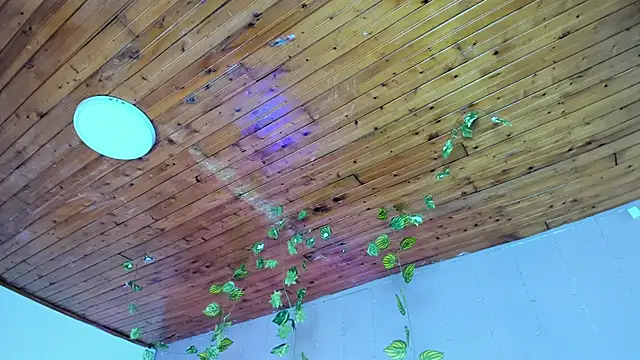 Snapshot of VIOLET_19XXX chatting on 16, 6, 2026 VIOLET 19XXX online show from 16, 6, 2026