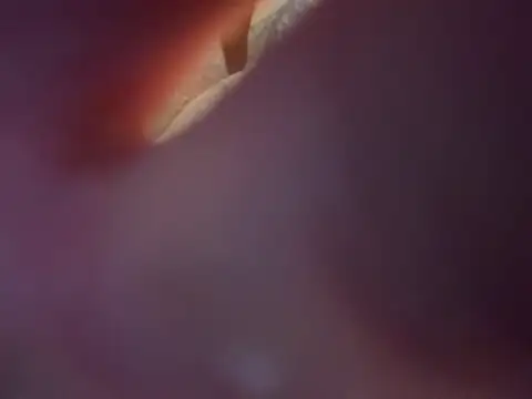 youngwildfreee online show from 23, 4, 2026