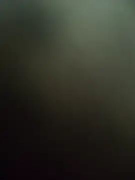 saur1221wjz online show from 17, 4, 2026