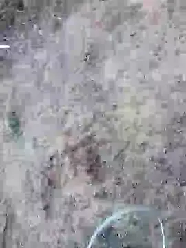 Snapshot of rocky_play_boy_ chatting on 25, 5, 2026 rocky play boy online show from 25, 5, 2026