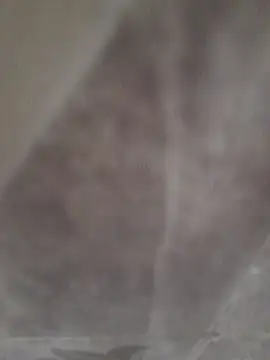 sk022 online show from 14, 4, 2026