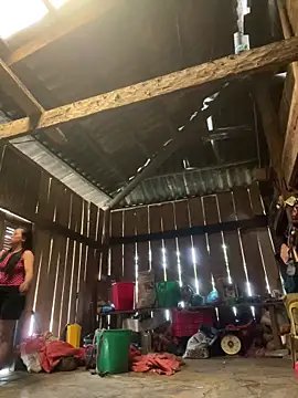 daisy-yeu online show from 15, 4, 2026