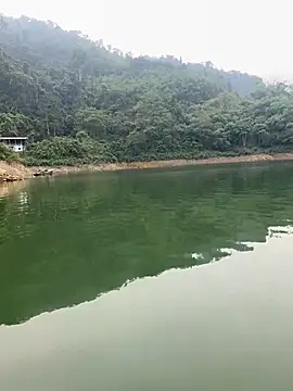 Best-nude online show from 27, 4, 2026