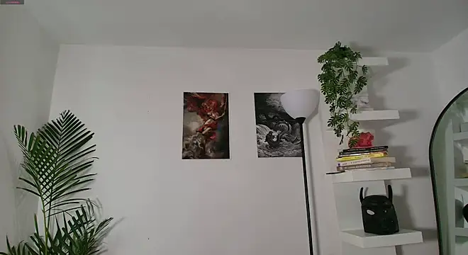 andyypalmer  online show from 14, 6, 2026