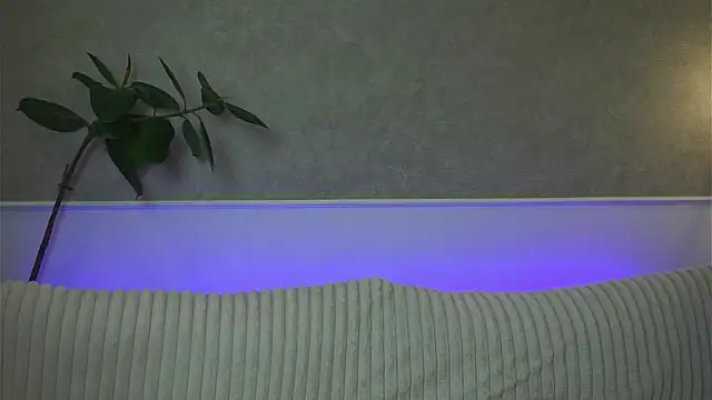 Brunette Baby online show from 3, 5, 2026