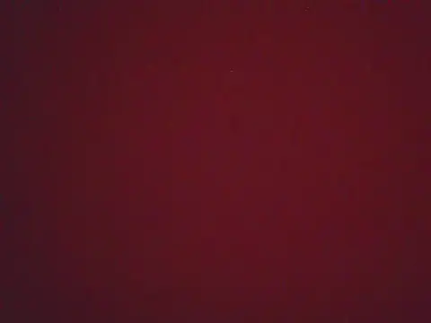 Snapshot of FernandaMartynelyh chatting on 22, 4, 2026 FernandaMartynelyh online show from 22, 4, 2026