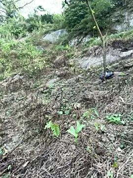 Rosa-x online show from 21, 4, 2026