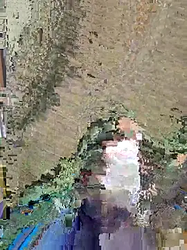 dickforpussyy online show from 16, 4, 2026