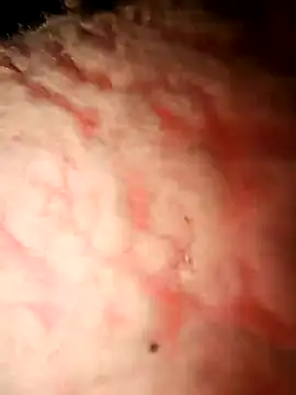 lauralobita online show from 17, 4, 2026