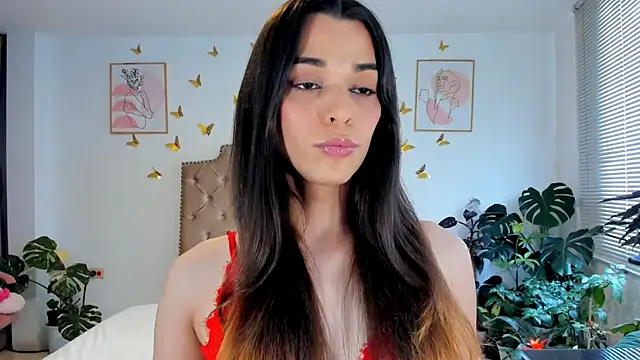 bella grego online show from 21, 6, 2026