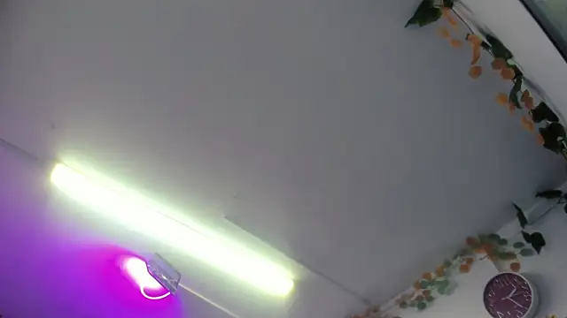 Snapshot of LilaVelvet chatting on 20, 5, 2026 LilaVelvet online show from 20, 5, 2026