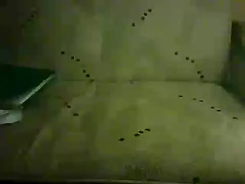 grzes1 online show from 21, 4, 2026