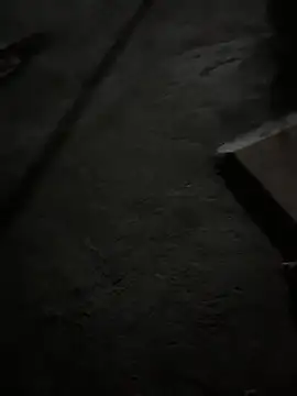 boyz toyz online show from 18, 4, 2026