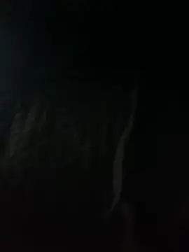 Flaco xdx online show from 22, 4, 2026