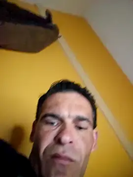 Shsaaeq online show from 18, 4, 2026