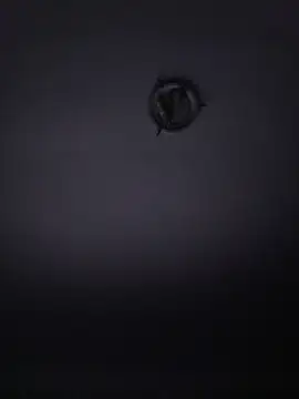 HildaQiii online show from 22, 4, 2026