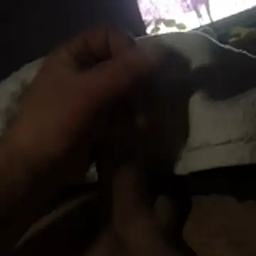 Barloo online show from 30, 10, 2025