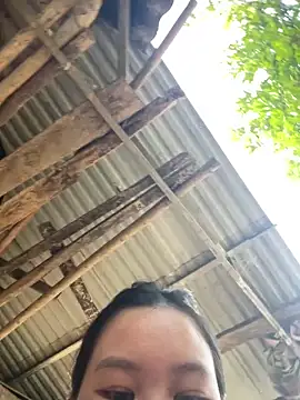 Swan 69 online show from 21, 4, 2026