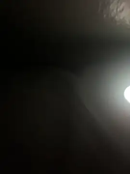 DICK5016 online show from 21, 4, 2026