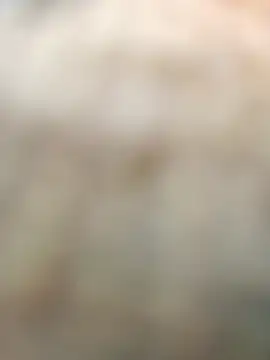 Sanjaykumarsaini online show from 22, 4, 2026