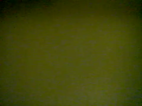 Snapshot of LunjeSA chatting on 4, 6, 2026 LunjeSA online show from 4, 6, 2026