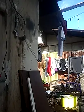 Ver-gudito online show from 25, 4, 2026