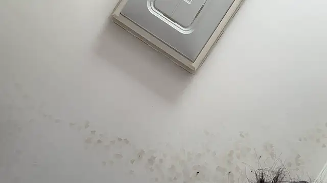 XIAOnaimao-001 online show from 13, 5, 2026