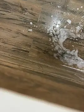 bfs130 online show from 29, 4, 2026