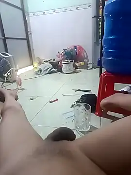 tung401 online show from 30, 4, 2026