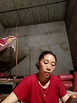 Jinli 01 online show from 6, 5, 2026