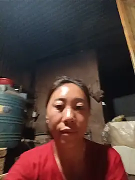 Jinli 01 online show from 31, 5, 2026