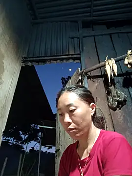 Jinli 01 online show from 20, 5, 2026