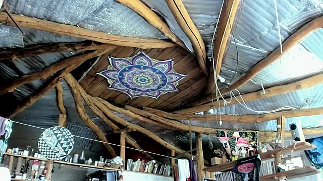 Snapshot of wildforestmuse_ chatting on 8, 7, 2026 wildforestmuse online show from 8, 7, 2026