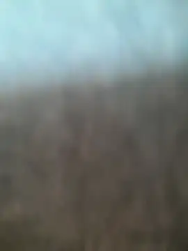 Snapshot of kasalsecrets chatting on 2, 7, 2026 kasalsecrets online show from 2, 7, 2026